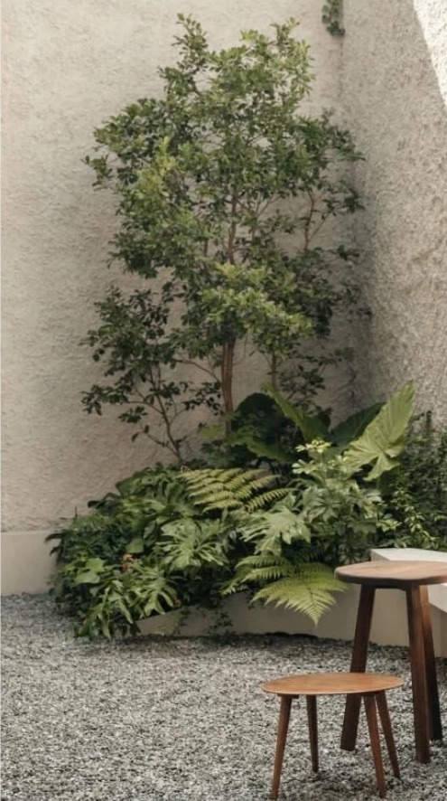 Rincón exterior con árbol, helechos y mesas de madera